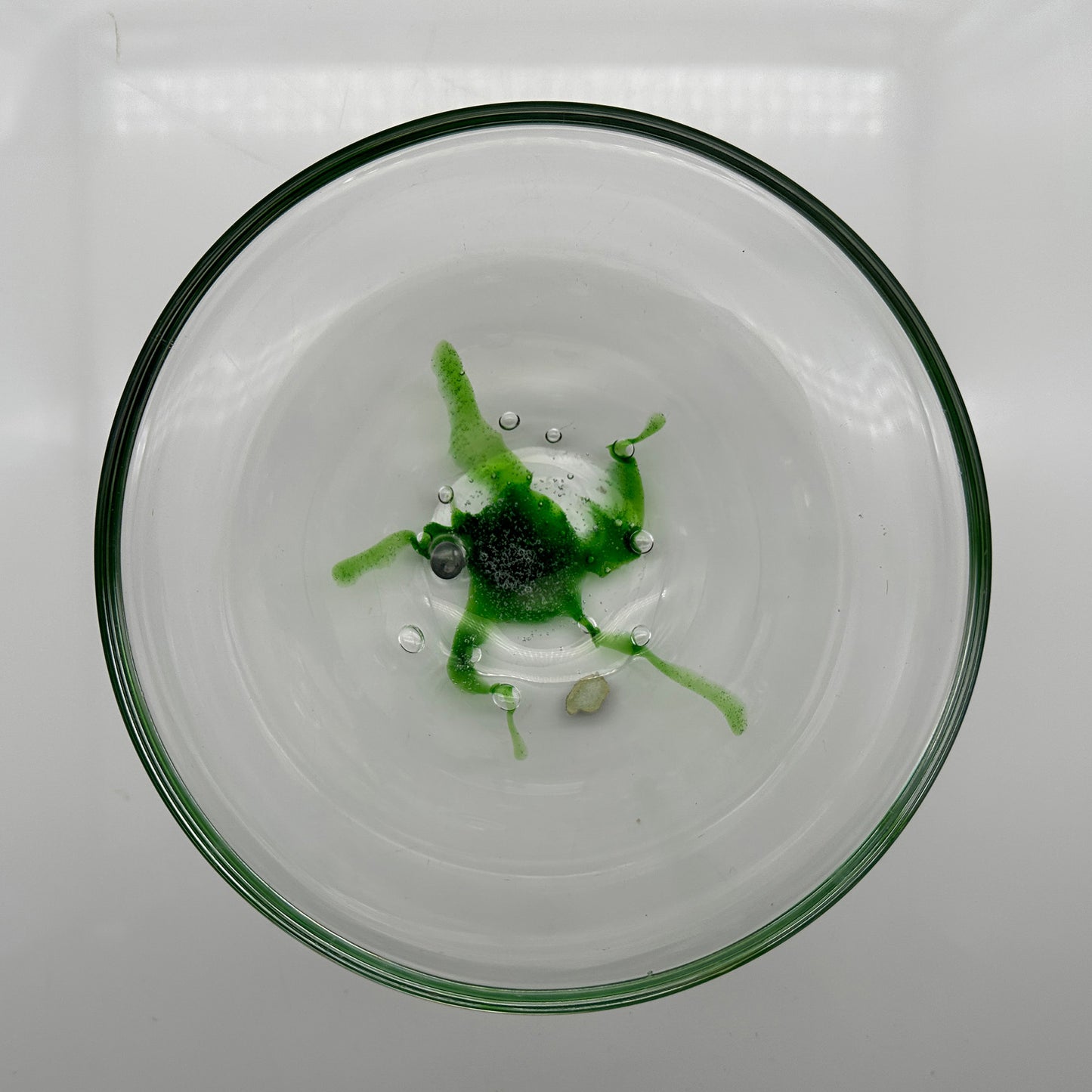 Crystal “Seaweed” Bowl – Vicke Lindstrand for Kosta Boda (1950s)
