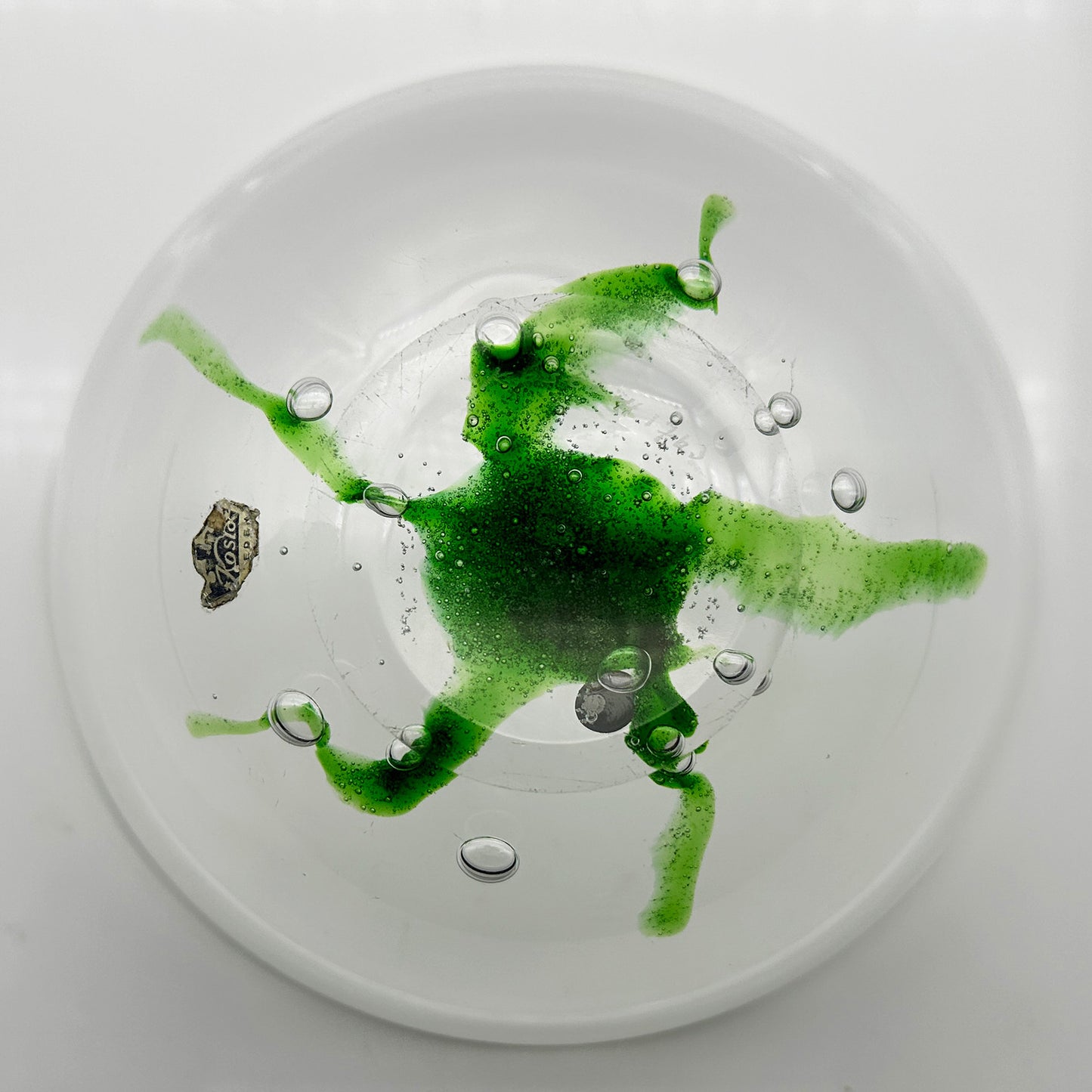 Crystal “Seaweed” Bowl – Vicke Lindstrand for Kosta Boda (1950s)