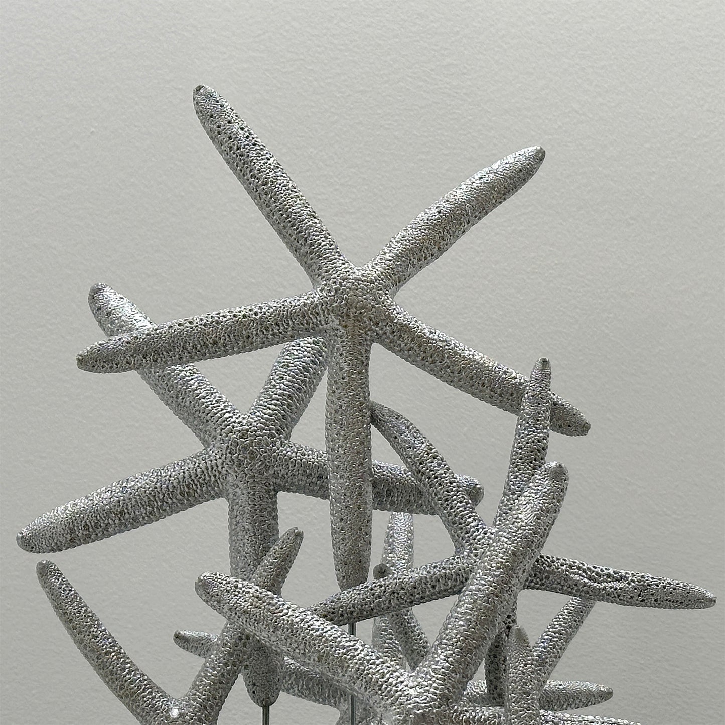 Antique Oval Bell Jar with 10 Silver Starfish – Luxury Ornament on Nickel Bar