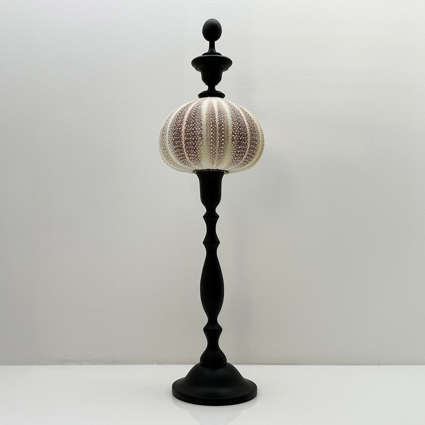 Decorative Red Sea Urchin on Copper Rod with Black Oval Base – Luxury Ornament
