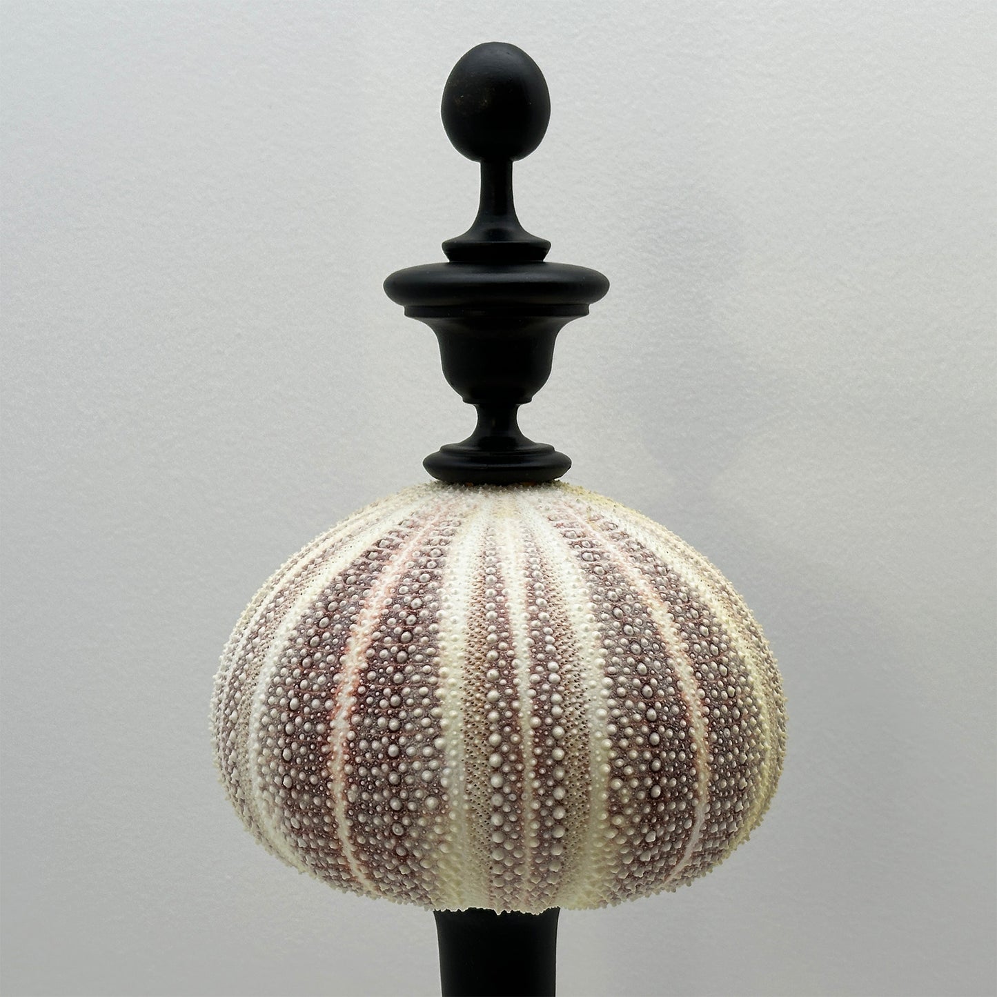 Decorative Red Sea Urchin on Copper Rod with Black Oval Base – Luxury Ornament
