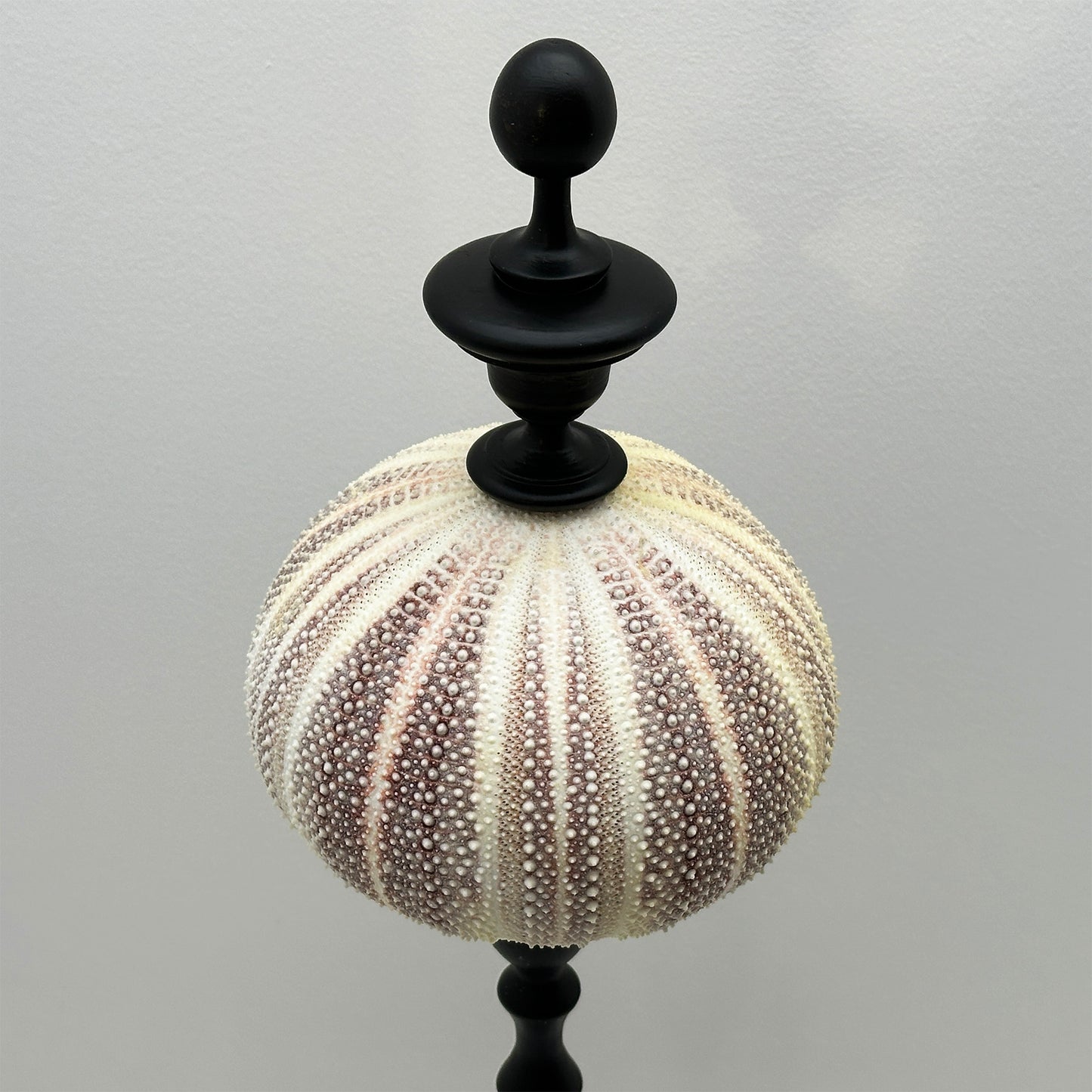 Decorative Red Sea Urchin on Copper Rod with Black Oval Base – Luxury Ornament