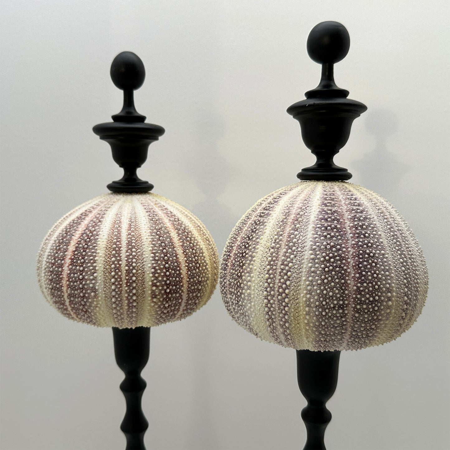 Decorative Red Sea Urchin on Copper Rod with Black Oval Base – Luxury Ornament
