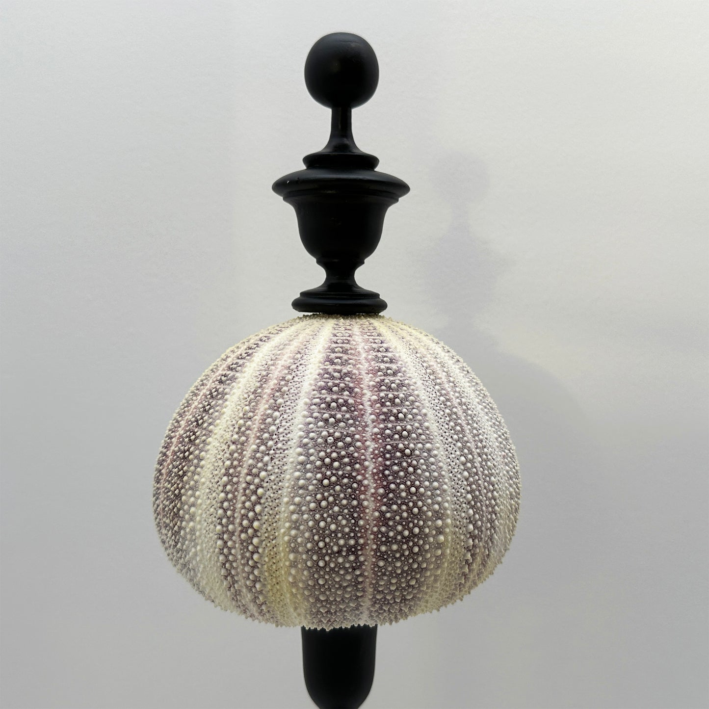 Decorative Red Sea Urchin on Copper Rod with Black Oval Base – Luxury Ornament