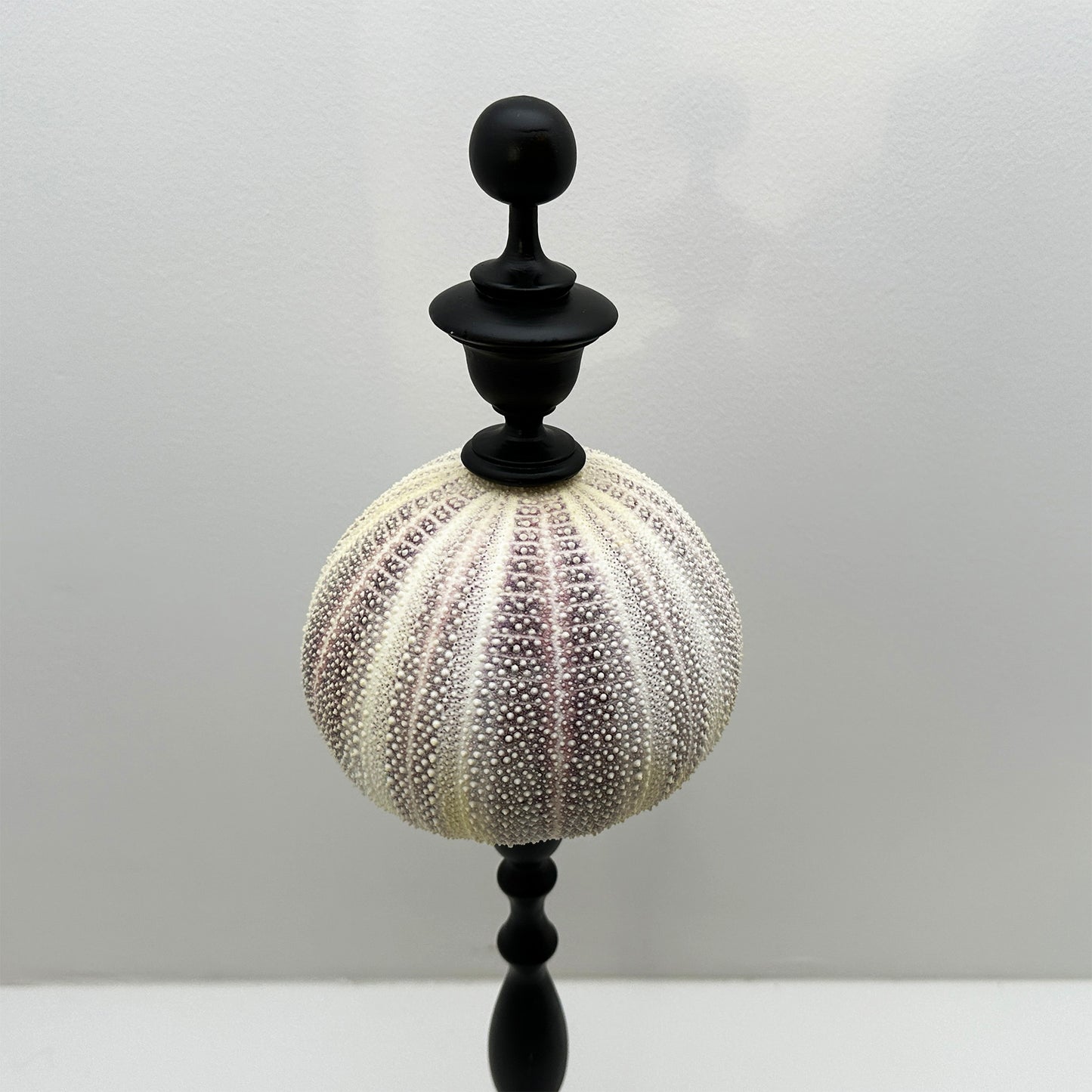 Decorative Red Sea Urchin on Copper Rod with Black Oval Base – Luxury Ornament