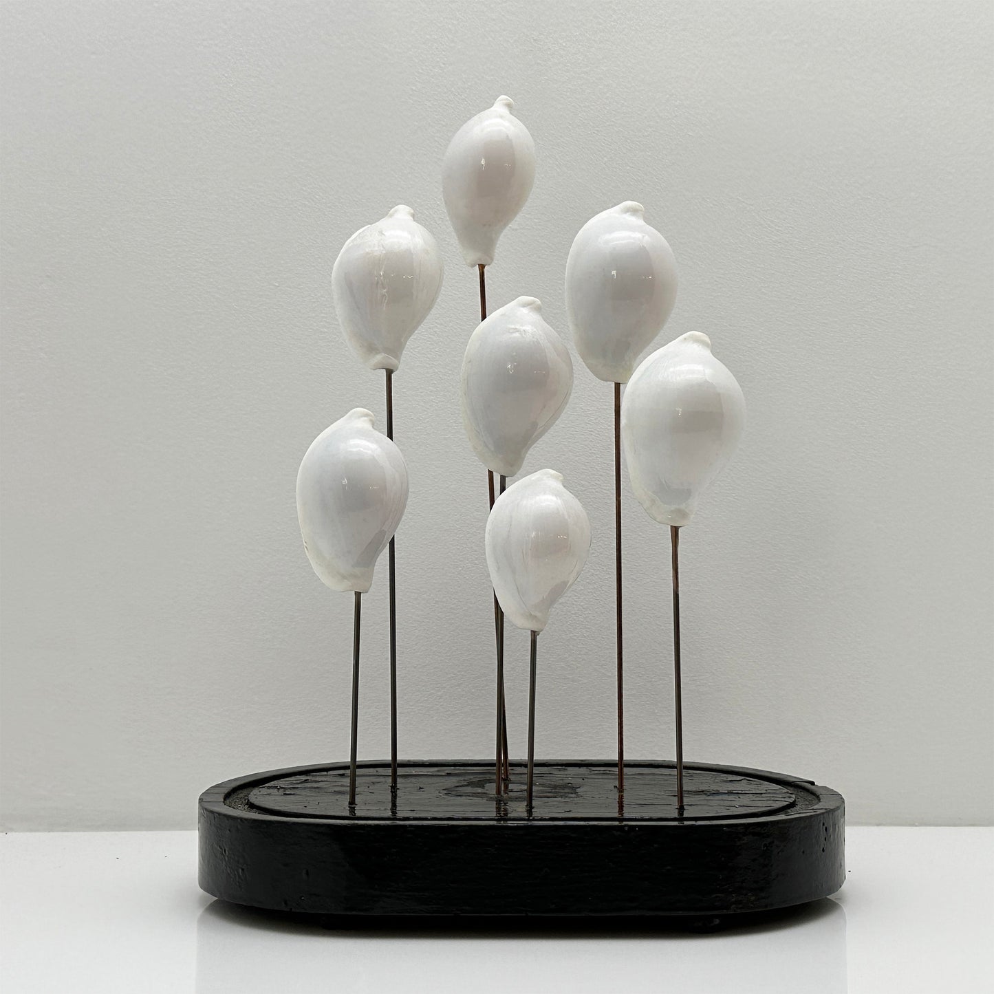 Antique Oval Glass Bell Jar with 8 White Real Shells – Luxury Ornament on Nickel Bar