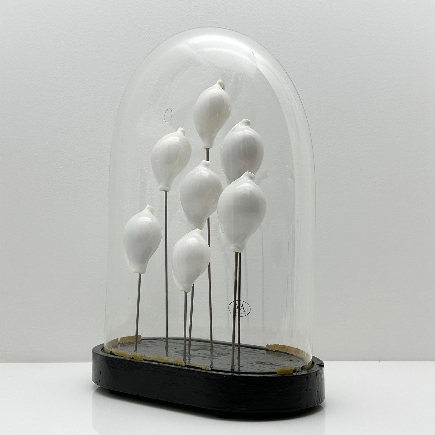 Antique Oval Glass Bell Jar with 8 White Real Shells – Luxury Ornament on Nickel Bar