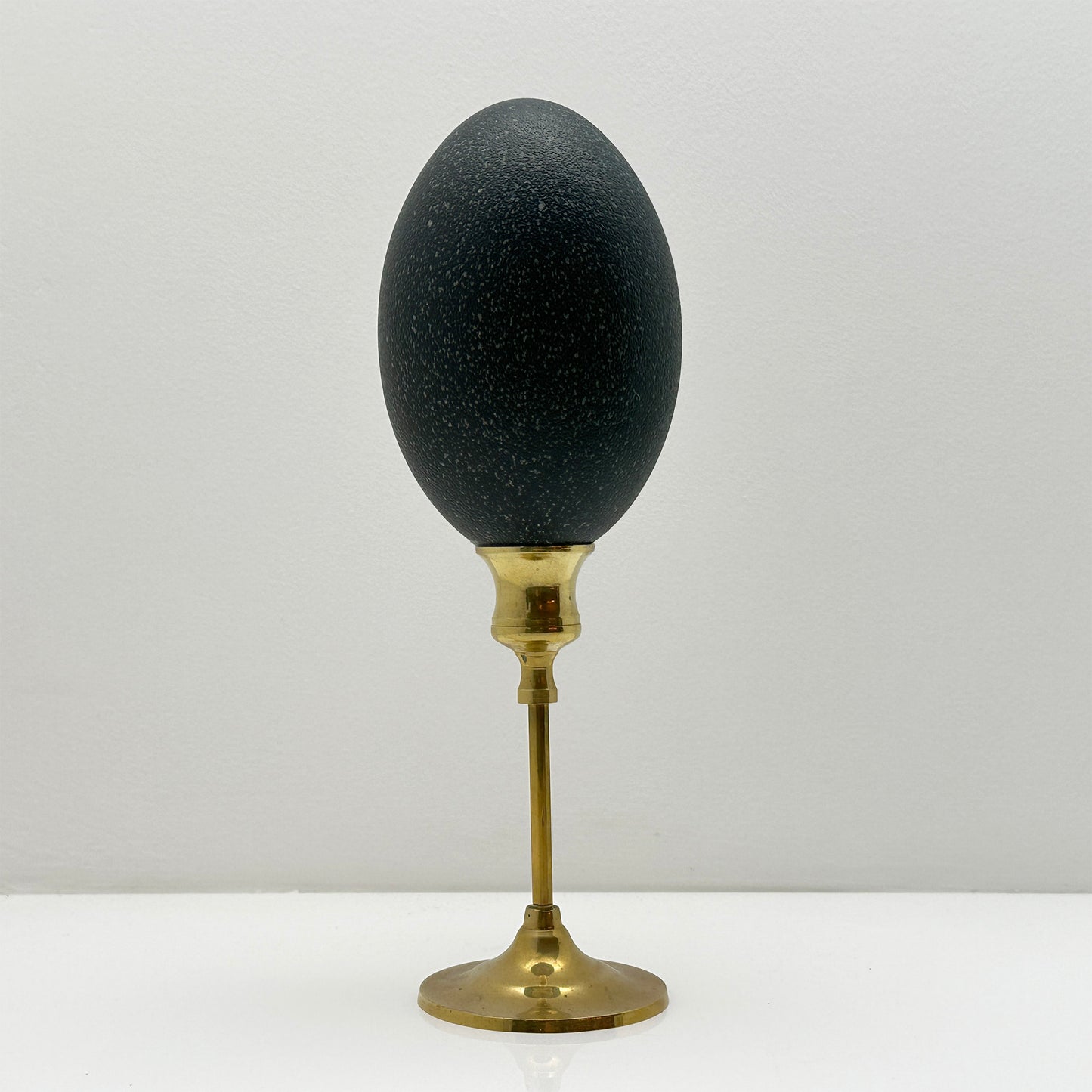Emu Egg on Brass Base – Luxury Handmade Ornament by Atelier Arling.vanAalst