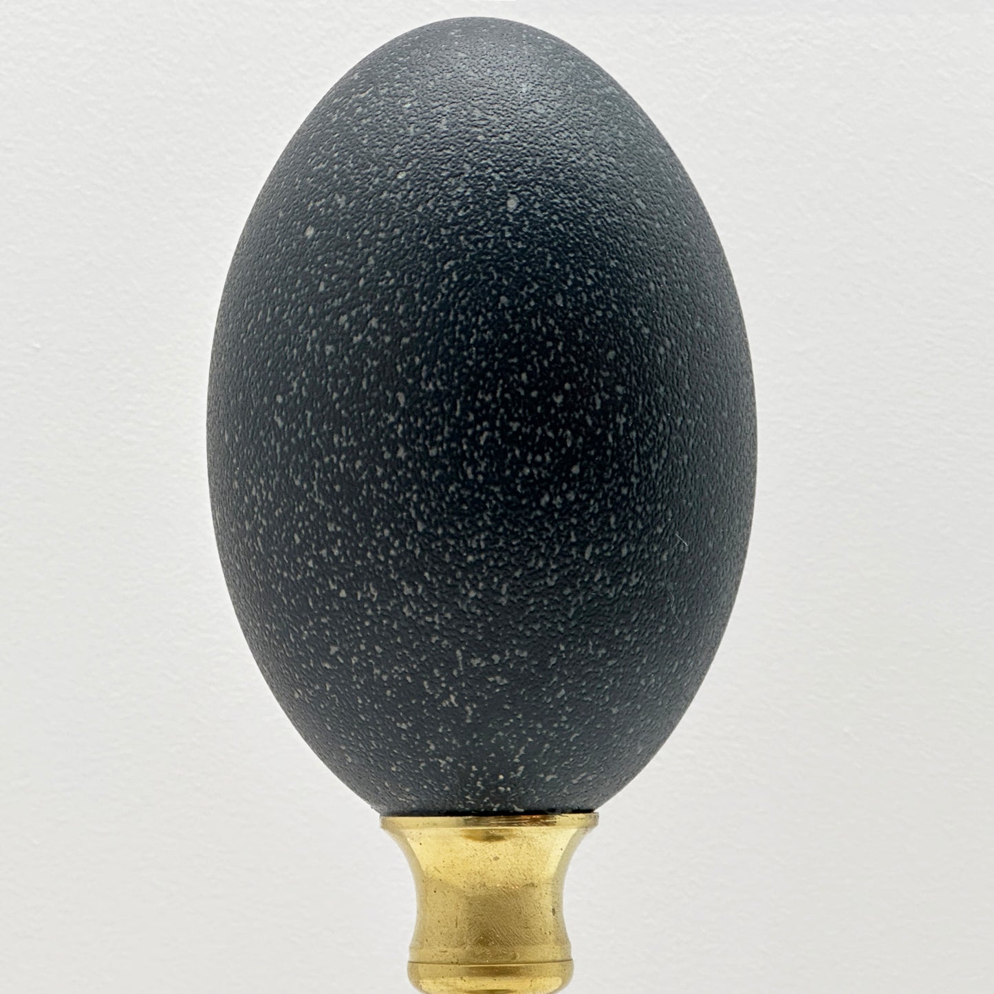 Emu Egg on Brass Base – Luxury Handmade Ornament by Atelier Arling.vanAalst