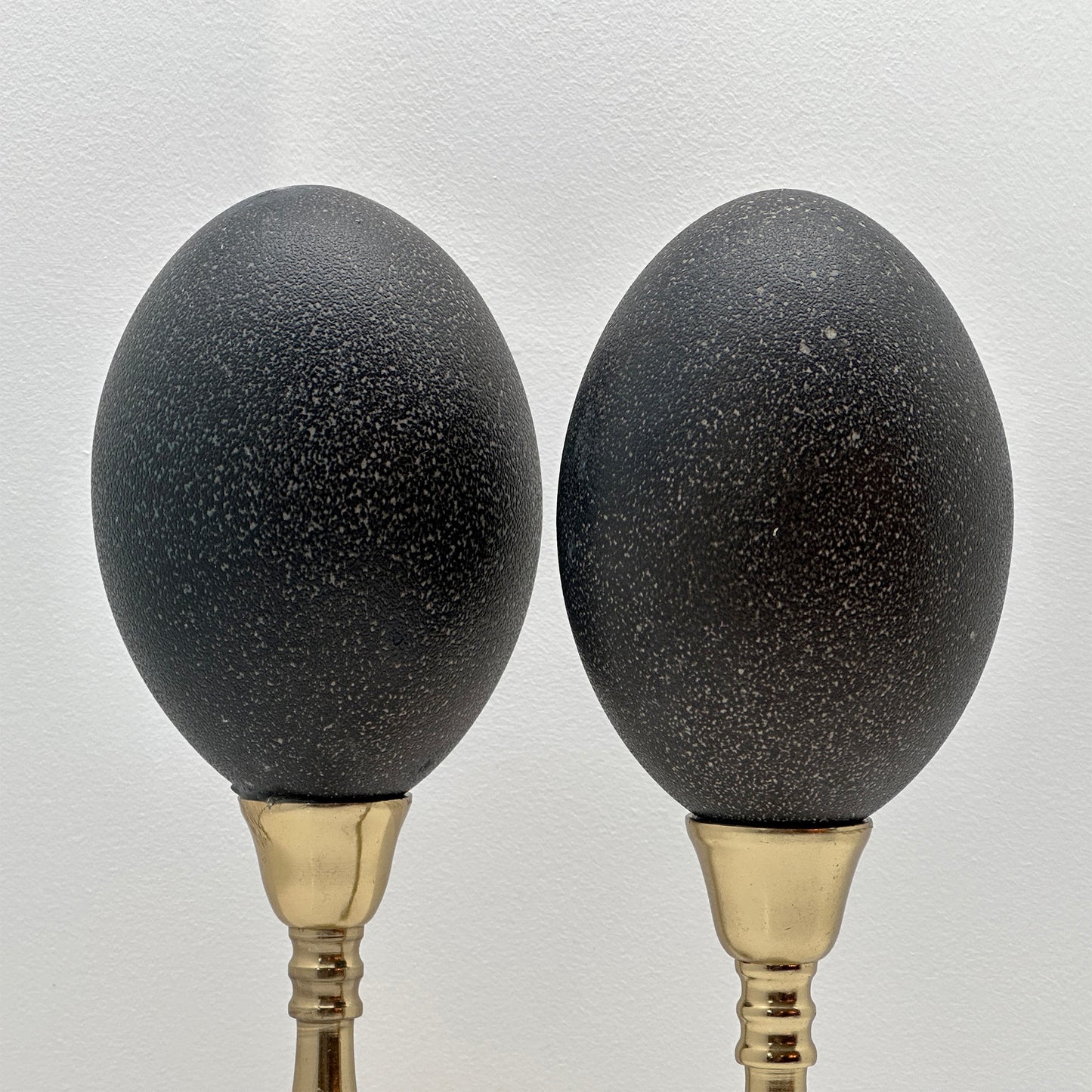 Set of Emu Eggs on Brass Candlesticks – Luxury Ornament and Decorative Egg on Foot