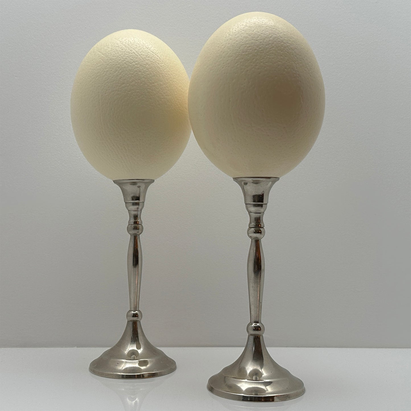 Set Struisvogel Eieren op Nikkelen Voet – Luxe Ornament en Decoratief Ei op Voet
