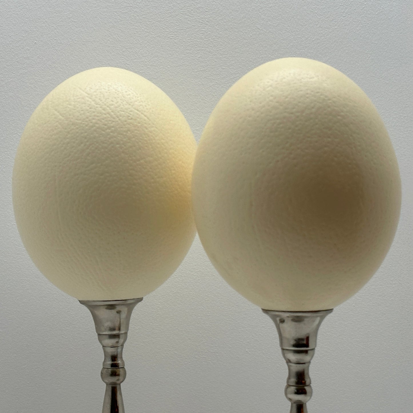 Set Struisvogel Eieren op Nikkelen Voet – Luxe Ornament en Decoratief Ei op Voet