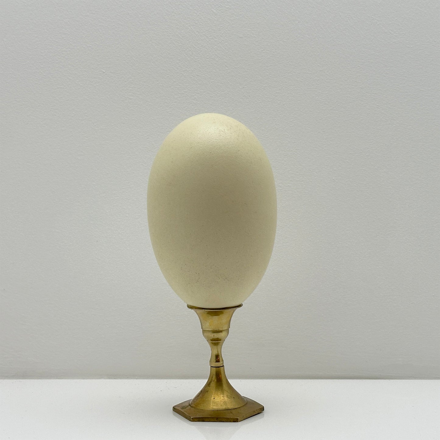 Rhea Egg on Brass Candlestick