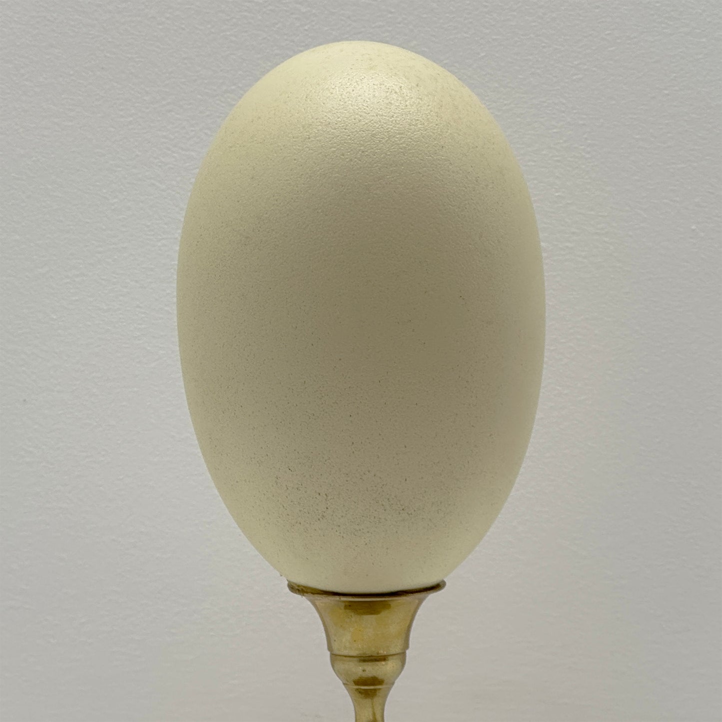 Rhea Egg on Brass Candlestick