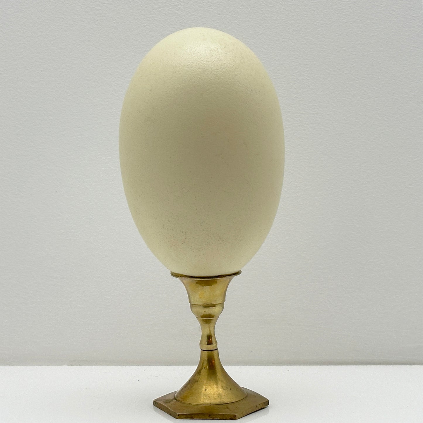 Rhea Egg on Brass Candlestick
