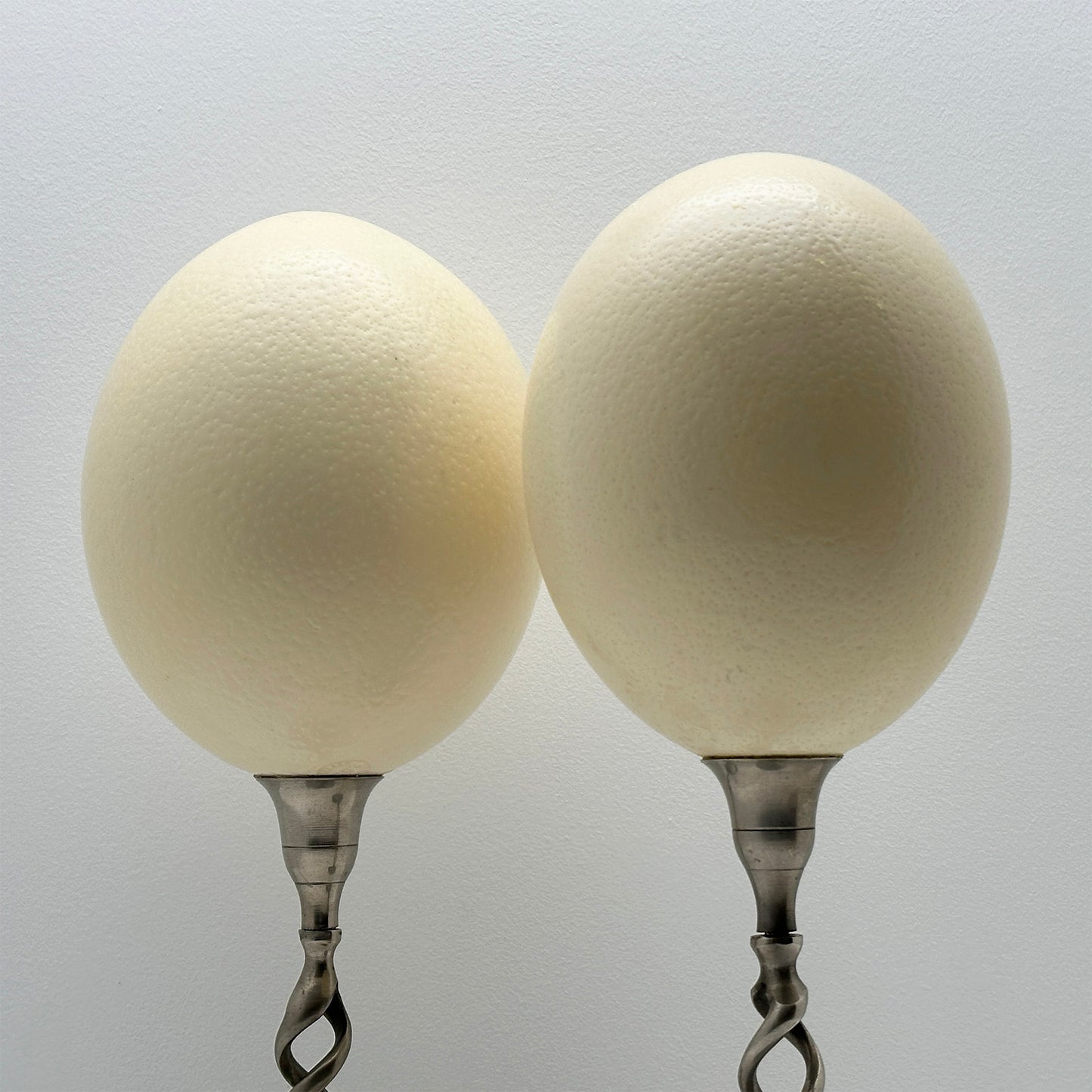 Curiosa Emu Egg Arrangement – Luxury Set of Natural Eggs on Nickel Candlesticks, Handmade (2024)