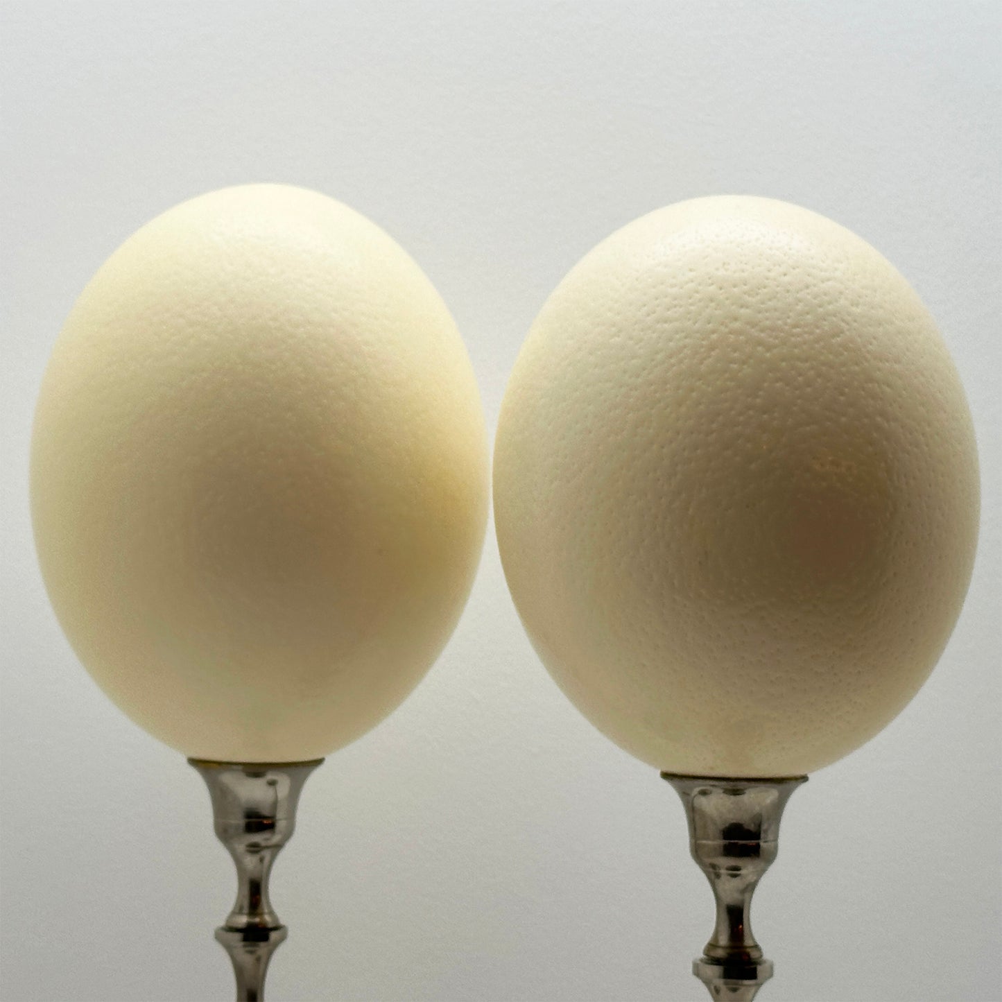 Luxe Decoratie Eieren op Nikkel Standaard - Handgemaakt Ornament (41 cm)
