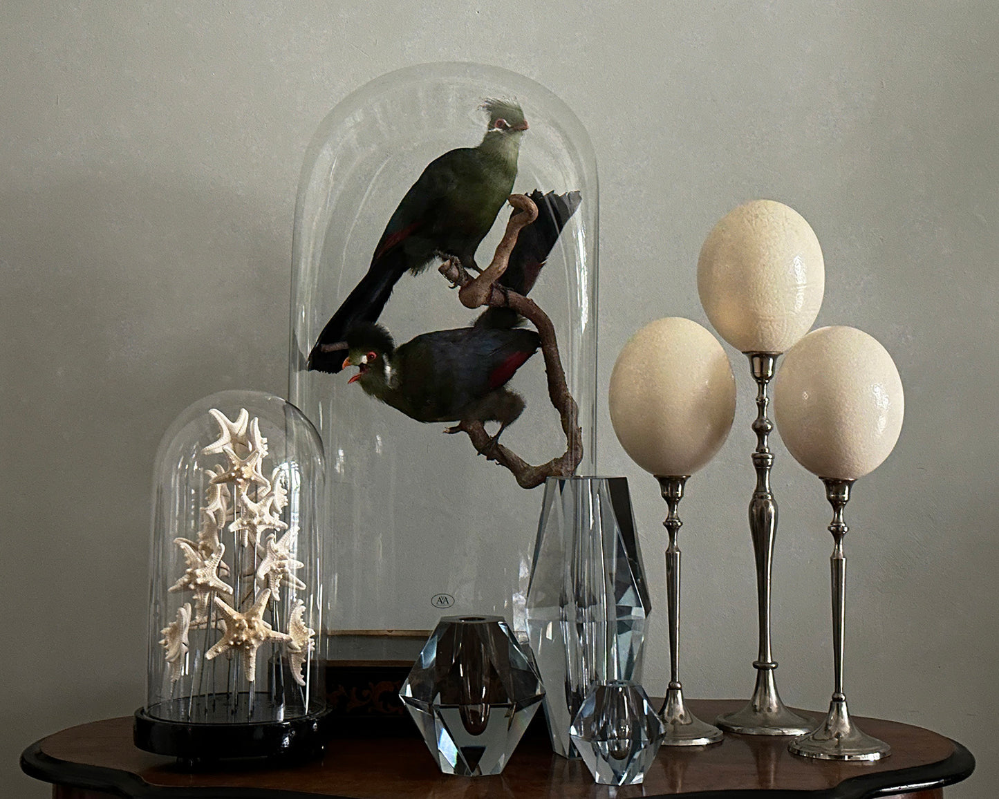 Antique Oval Bell Jar with White Starfish – Luxury Ornament on Nickel Bar