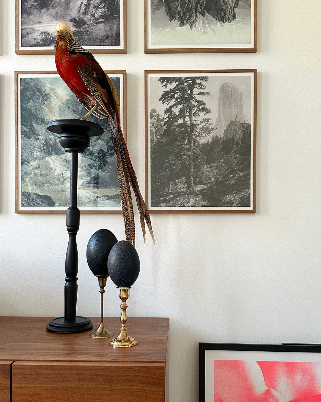 Emu Egg on Brass Base – Luxury Handmade Ornament by Atelier Arling.vanAalst