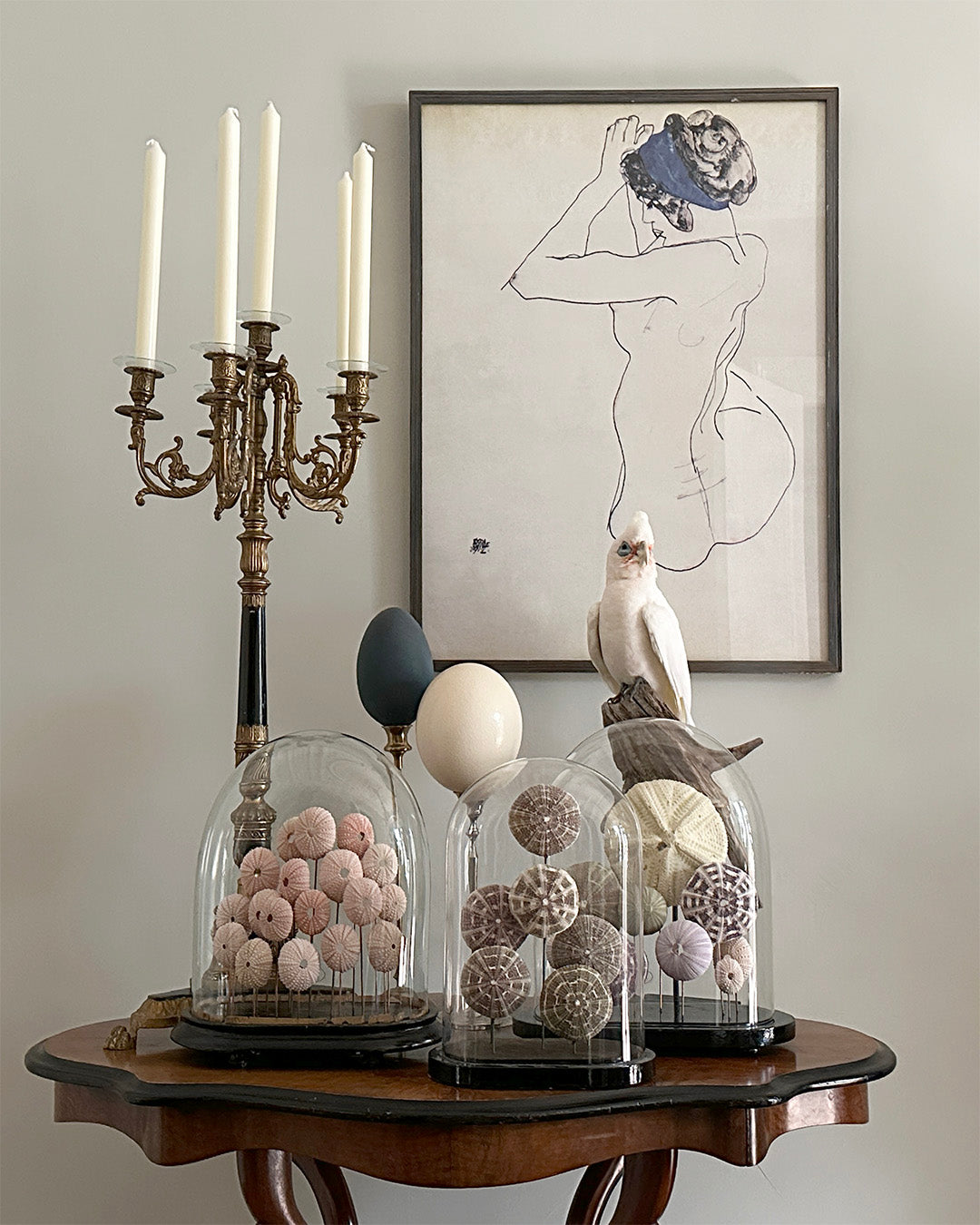 Antique Oval Bell Jar with Multi-Colored Sea Urchin Skeletons – Luxury Bell Jar and Home Item