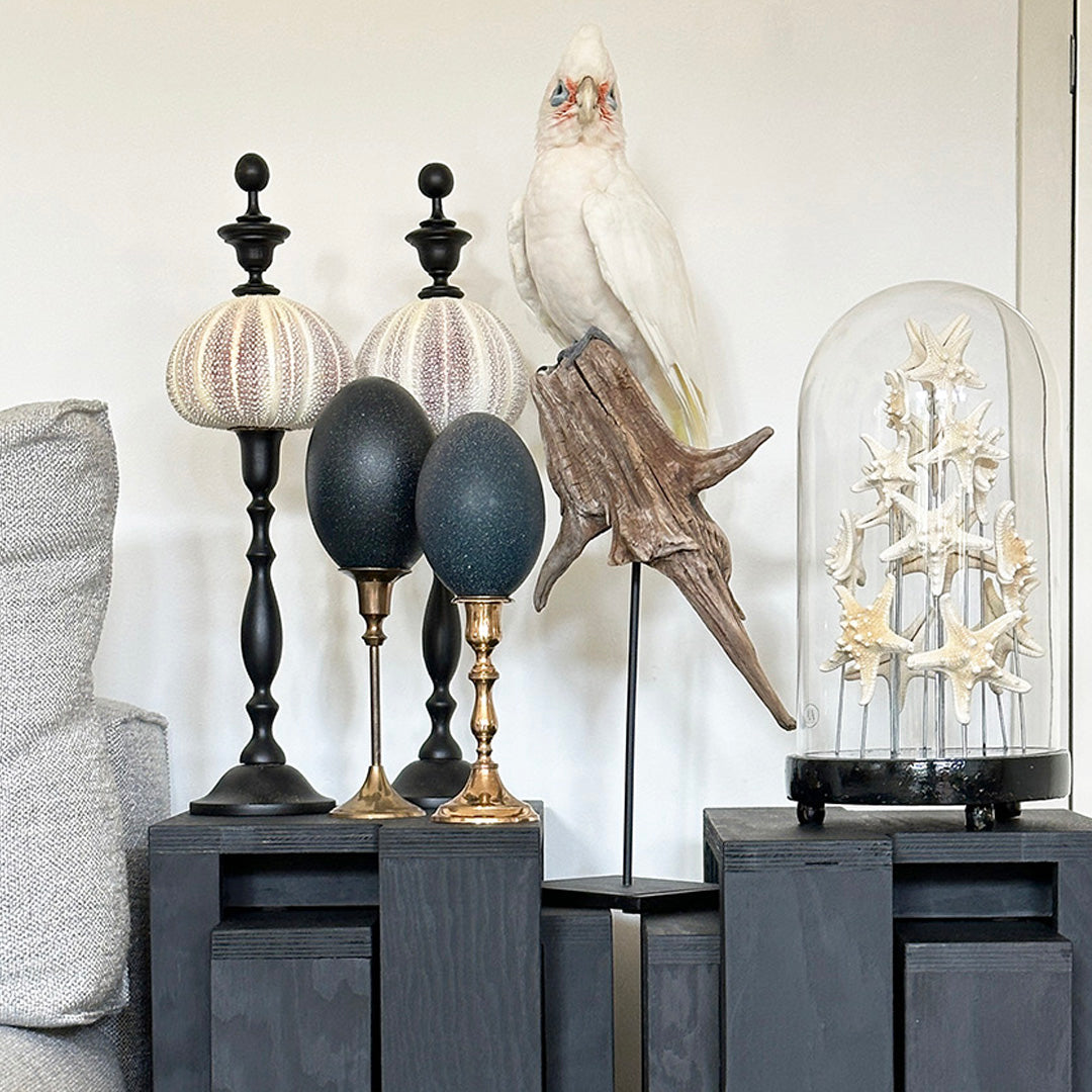 Ornamenten op voet