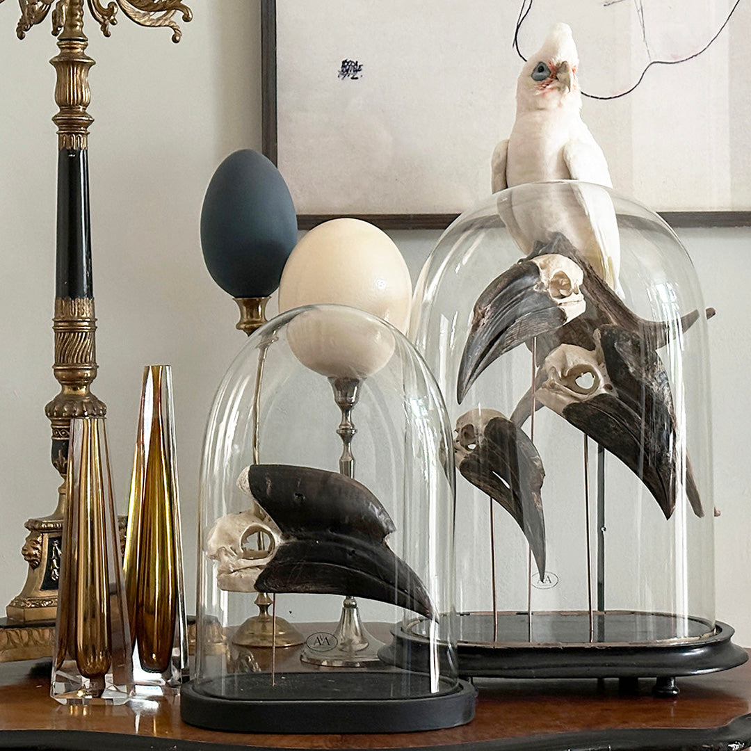 Ornamenten