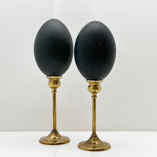 Set van Twee Emoe Eieren op Messing Kandelaars – Luxe Handgemaakt Ornament